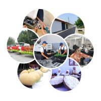 O‘zbekiston YAIMi 35 yilda 4,8 barobarga oshdi