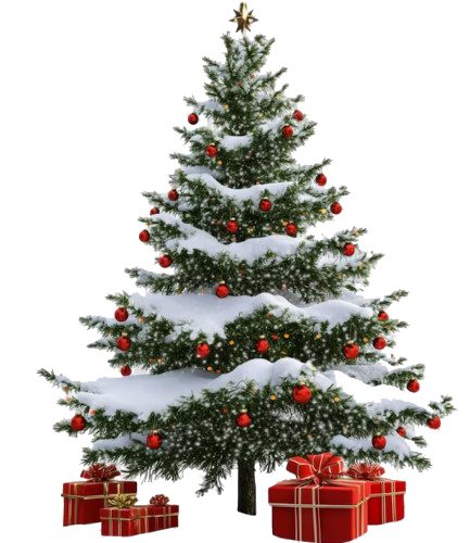 YANGI YIL NASRONIYLAR BAYRAMI  EMAS