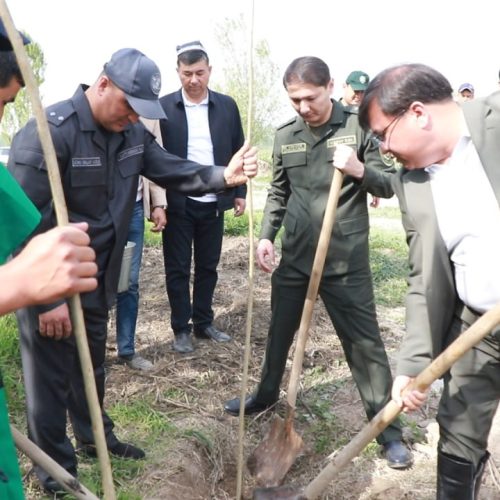 “YASHIL MAKON”: EKOLOGIK MADANIYAT SARI MUHIM QADAM